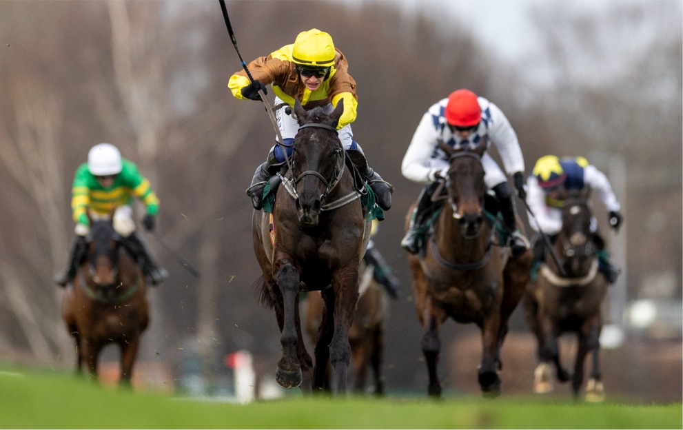 Galopin Des Champs wins the Paddy Power Irish Gold Cup in 2023