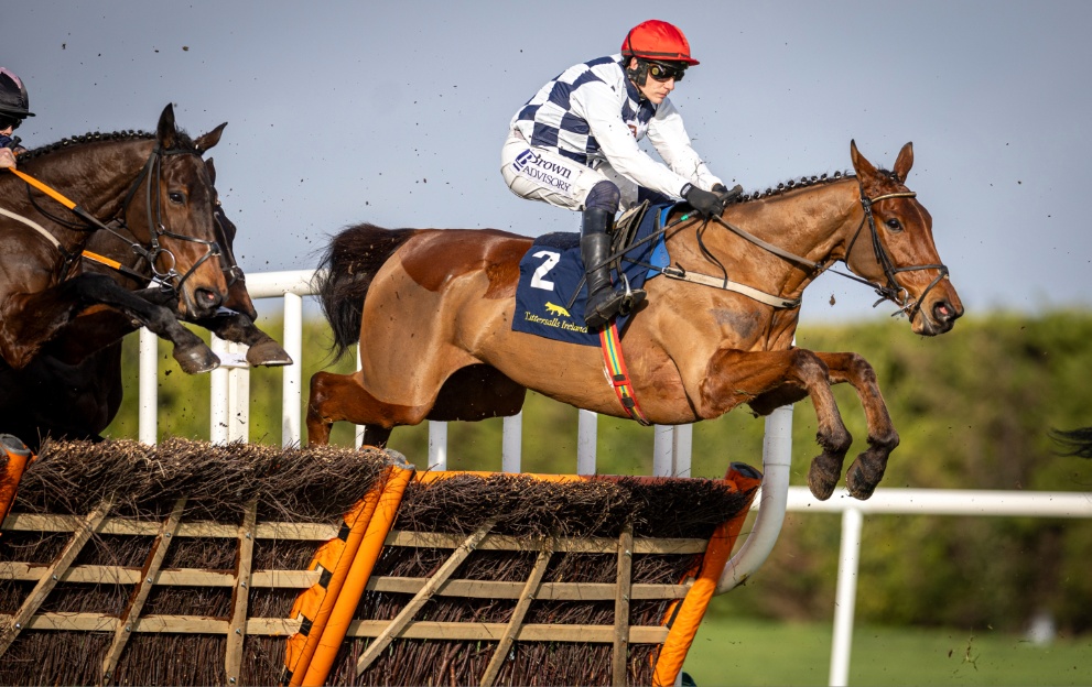 Cheltenham 130 Tips Todays Gallagher Novices Hurdle Best Bets