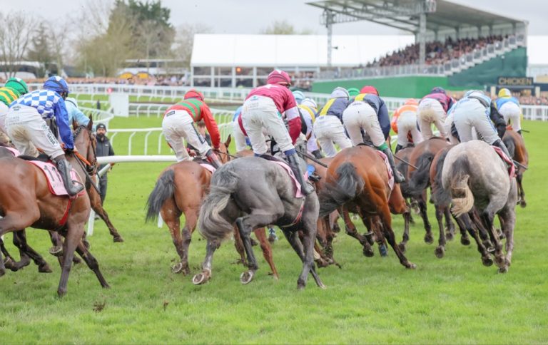 Horses racing at the Cheltenham Festival