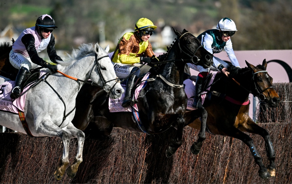 Galopin Des Champs jumps a fence in the Cheltenham Gold Cup 2024