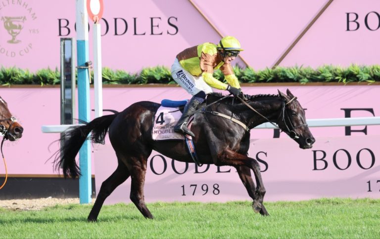 Galopin Des Champs winning the Cheltenham Gold Cup