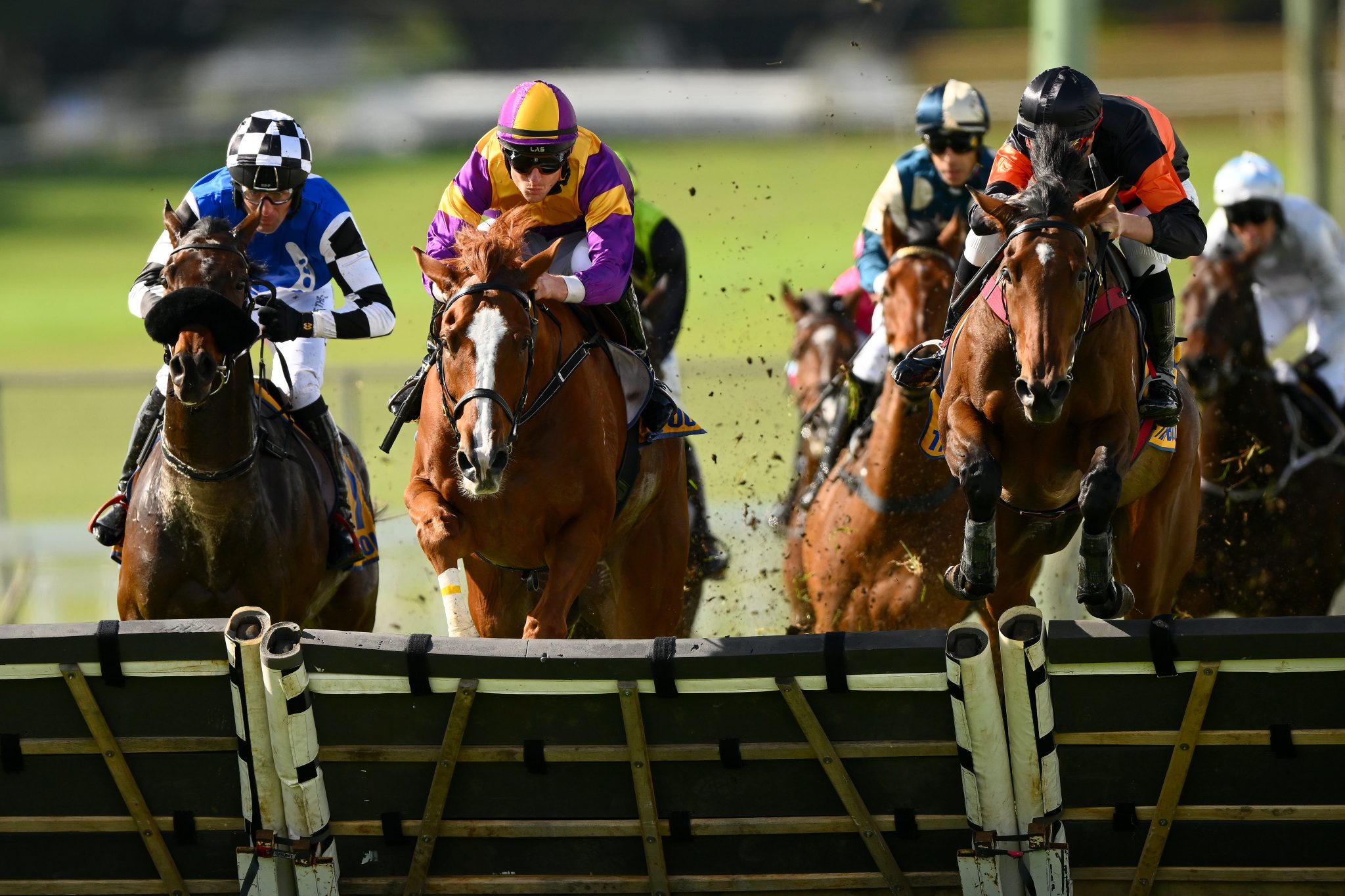 How do odds work in horse racing? Paddy Power News