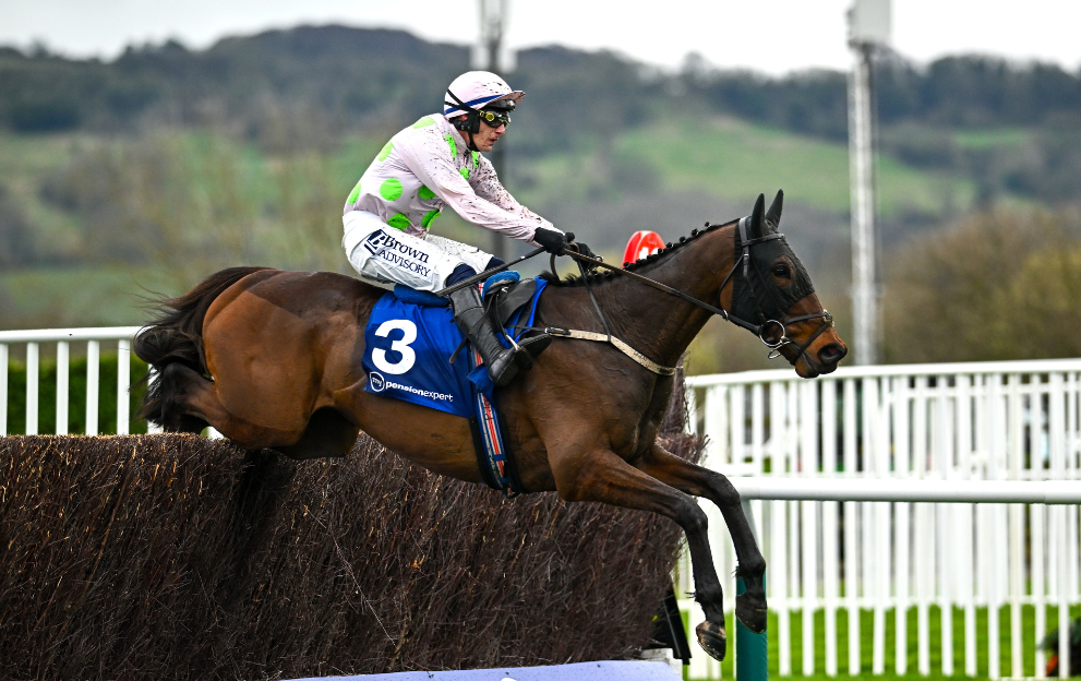 Gaelic Warrior Fact To File Cheltenham Gold Cup Mullins’ Strategic Gamble and the Punchestown Decider