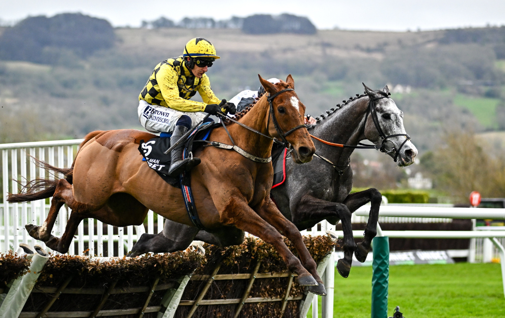 State Man winning the Champion Hurdle 2024