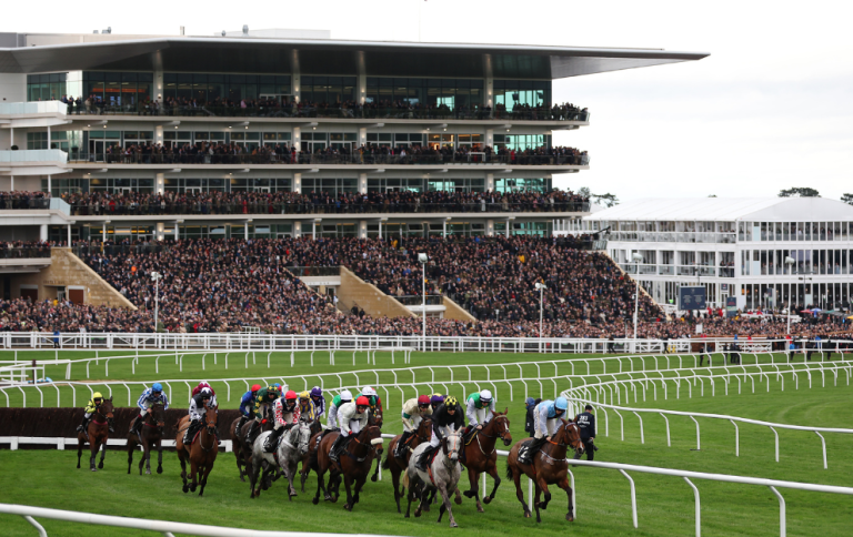 An image of the stands at the Cheltenham Festival in 2024