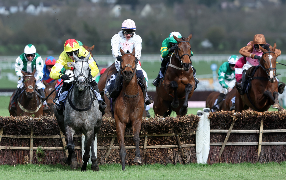 Absurde wins the County Hurdle at Cheltenham