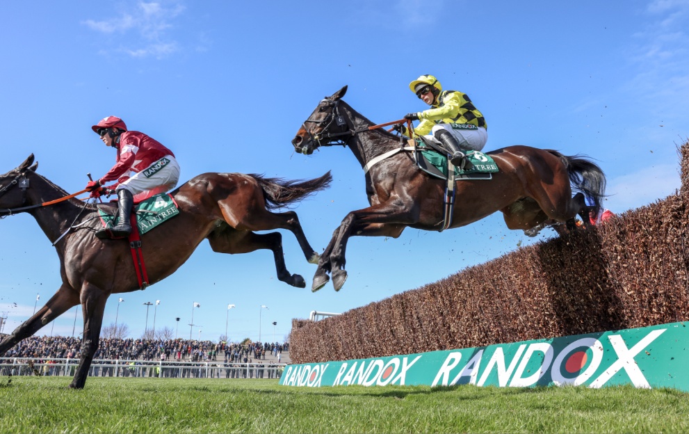 Shishkin and Ahoy Senor jump a fence in the Aintree Bowl