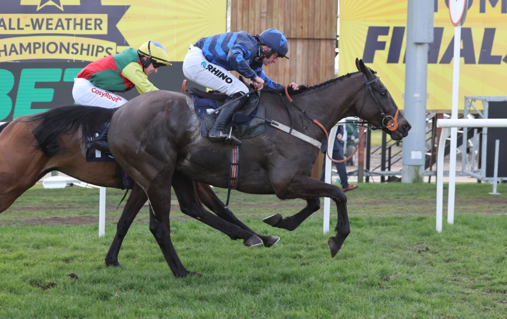 Anglers Crag wins the Eider Handicap Chase at Newcastle