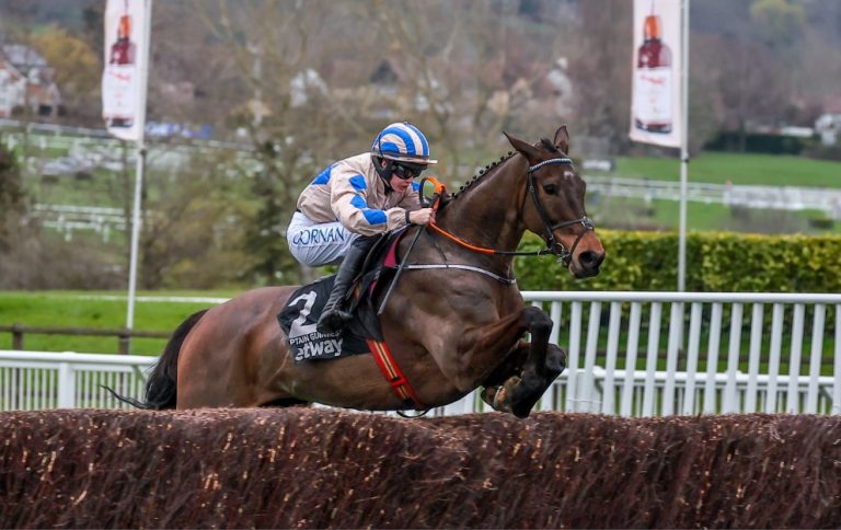 Captain Guinness jumping a fence en route to winning the Champion Chase