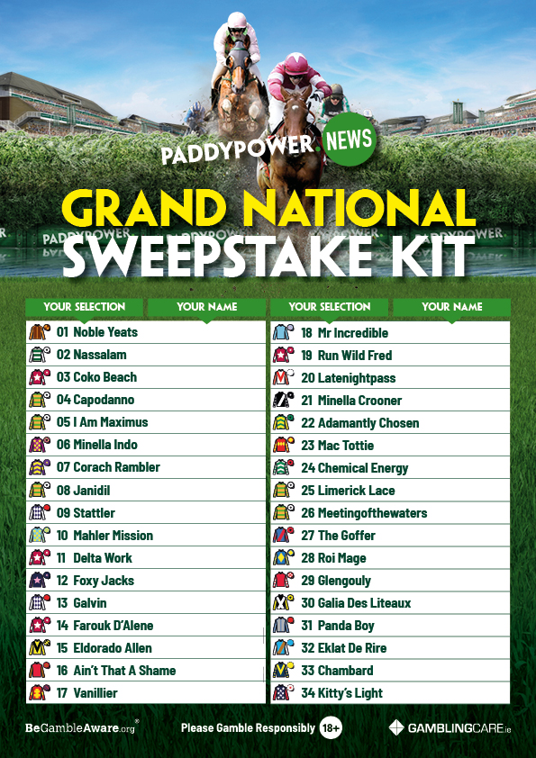 Grand National Sweepstake Kit Download and share Paddy's pack