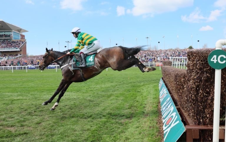 Aintree Race Card: Ultimate Grand National Festival day 2 guide on ...