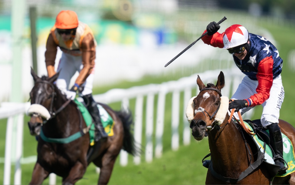 Bet365 Gold Cup 2024 Tips, Runners Guide, Riders & Sandown Predictions🏅