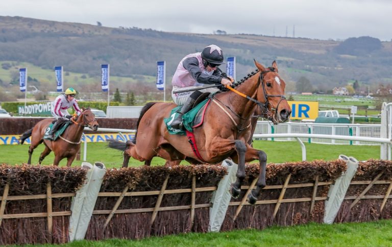 Teahupoo winning the Paddy Power Stayers