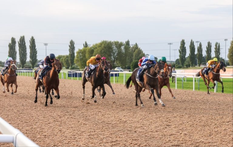 Horses on track in the Racing League