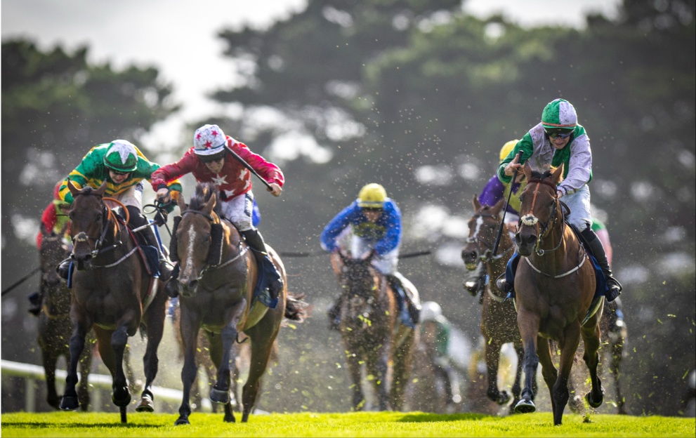 Teed Up wins at the Galway Races