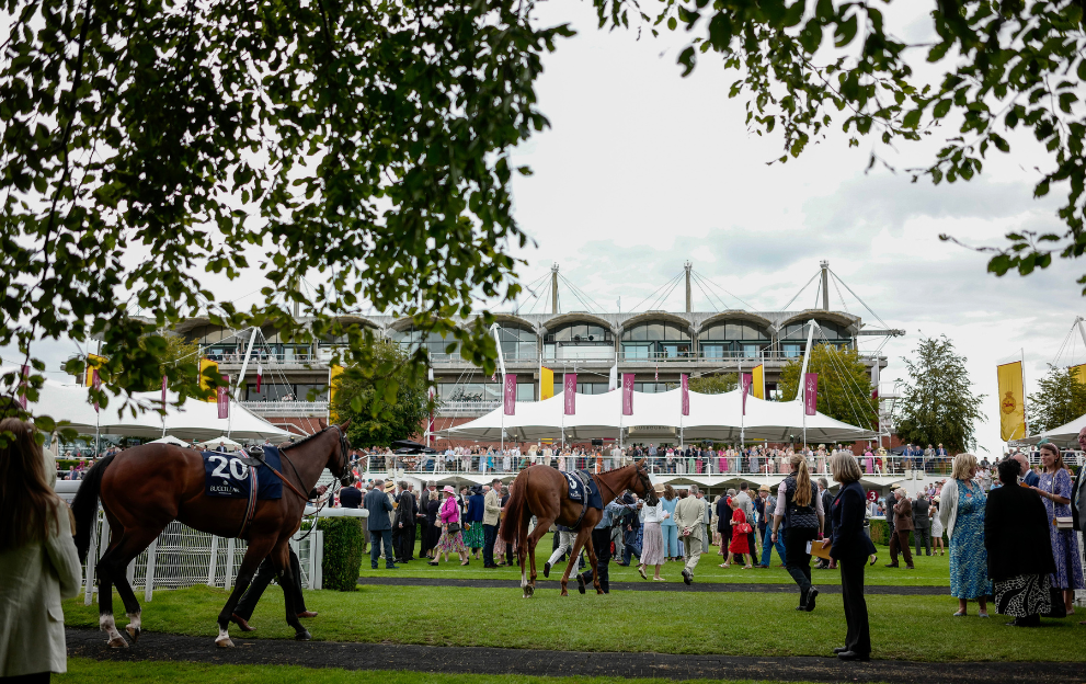 Glorious Goodwood