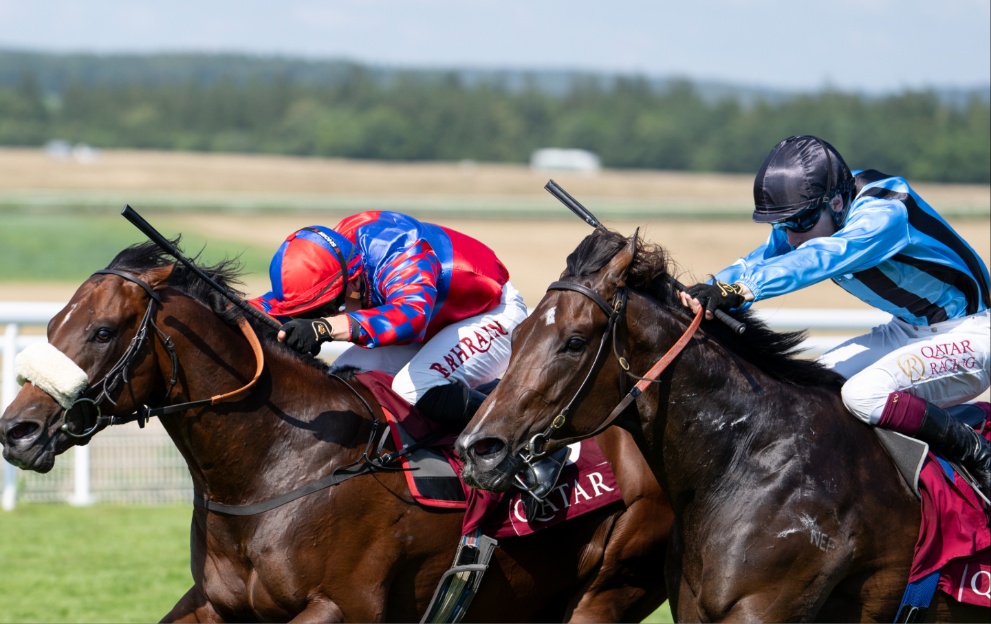 Big Evs beats Asfoora at Goodwood