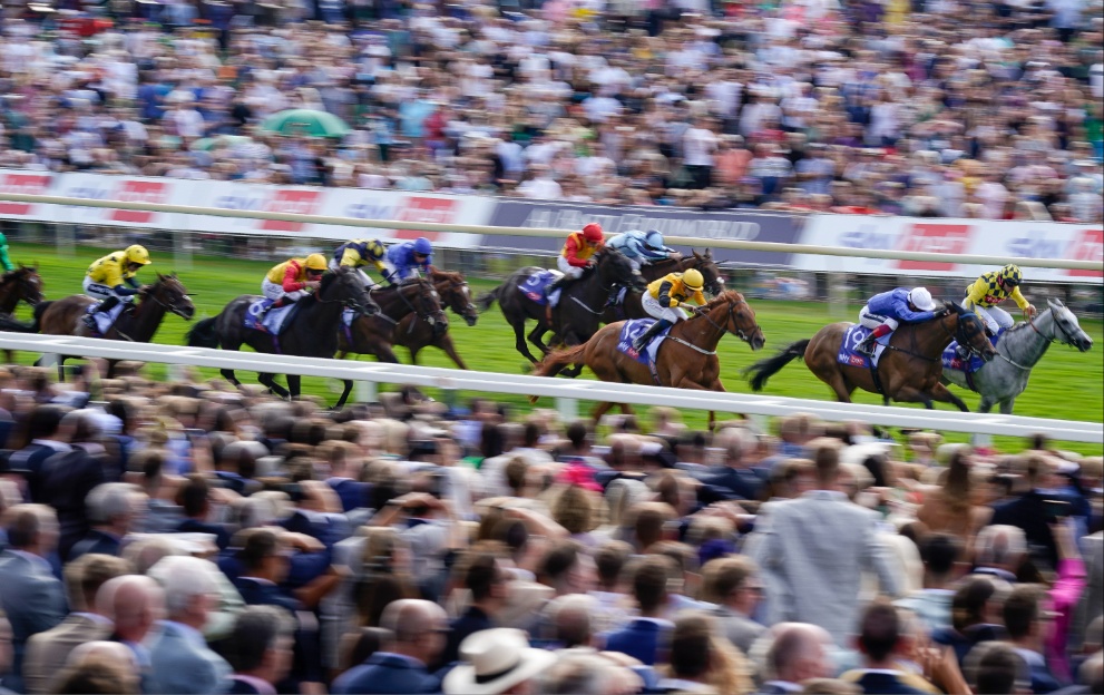 Horses running in the Ebor Handicap at York