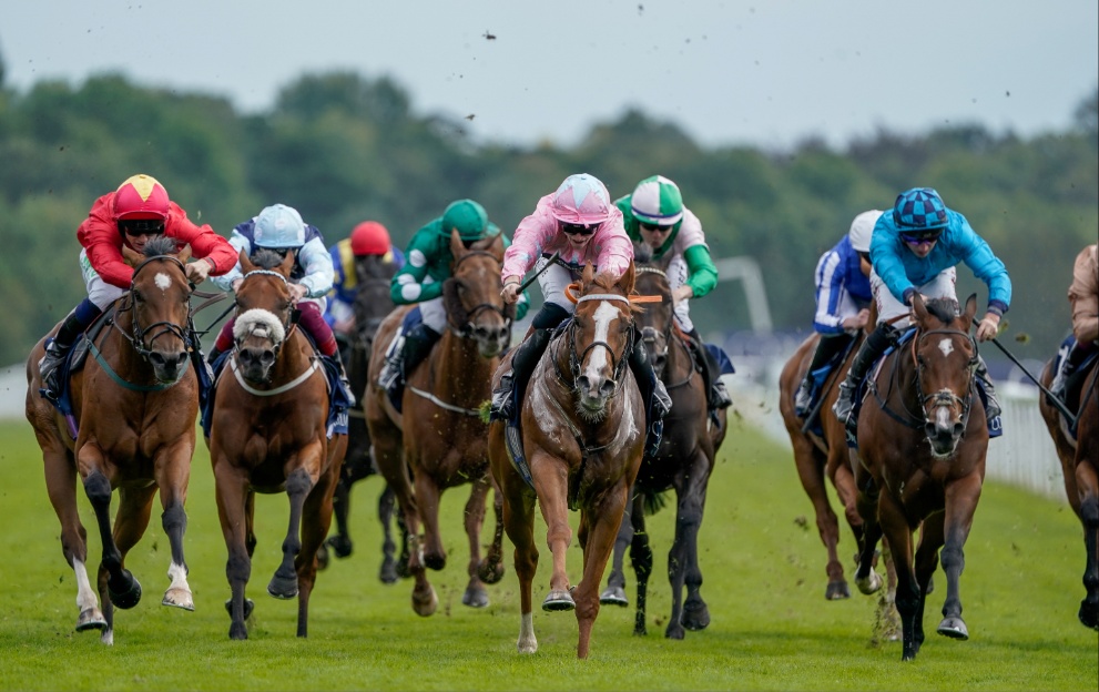 Horses racing at York