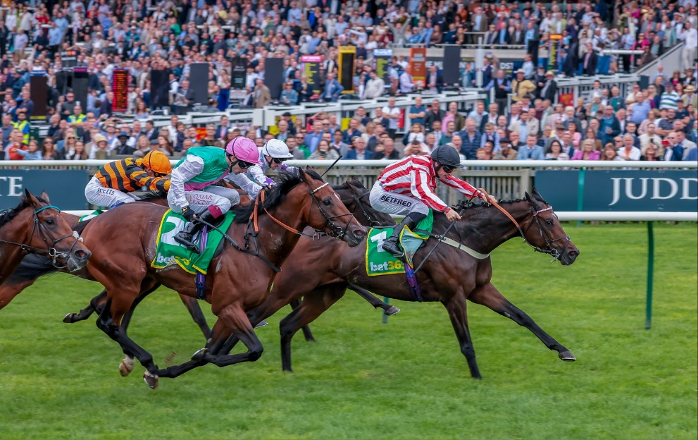 Astro King wins the Cambridgeshire Handicap in 2023