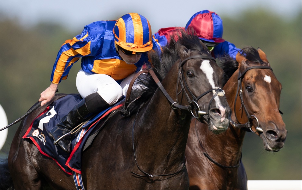 Auguste Rodin beating Luxembourg in the Irish Champion Stakes