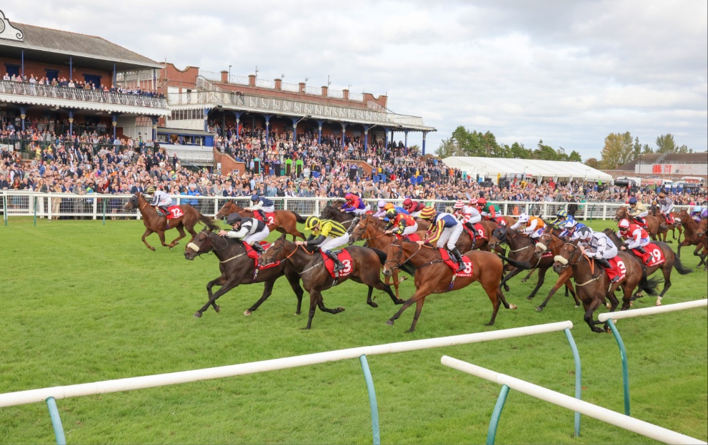 Horses running in the Ayr Gold Cup