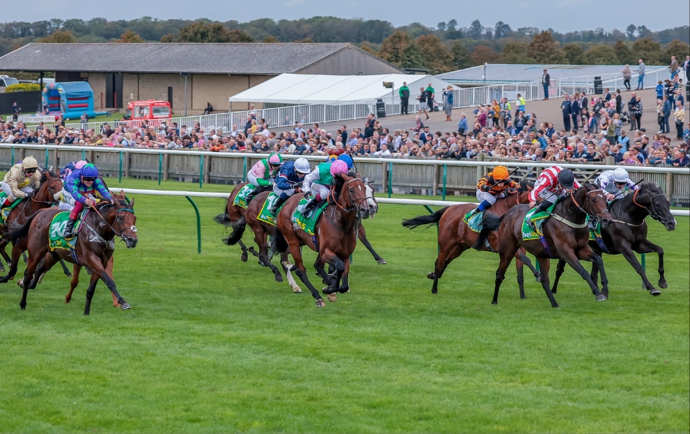 Horses running in the Cambridgeshire at Newmarket