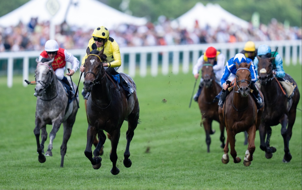 Inisherin wins the Commonwealth Cup at Ascot in 2024