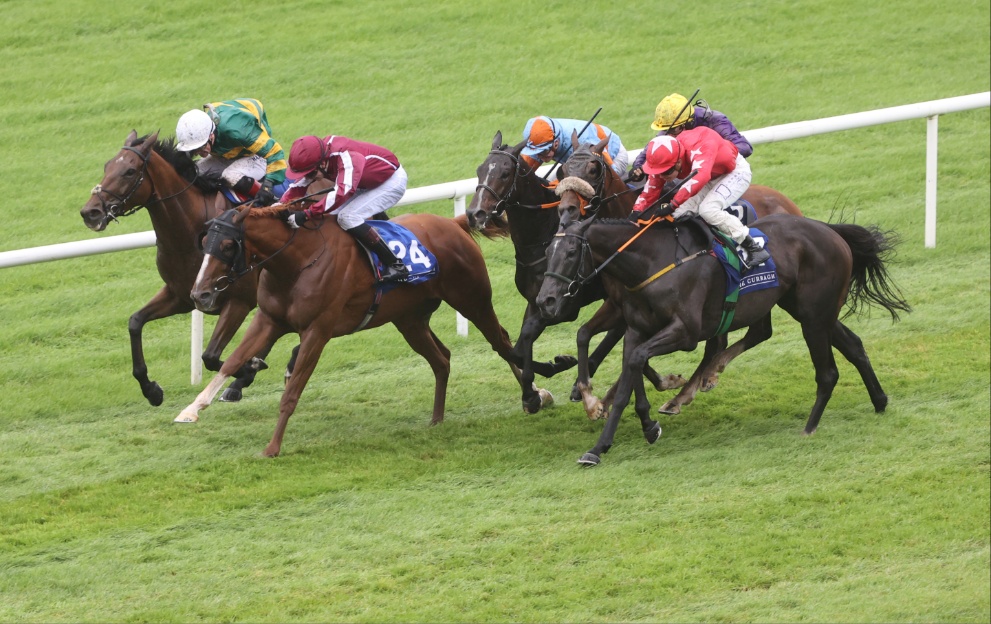 Horses running in the Irish Cesarewitch