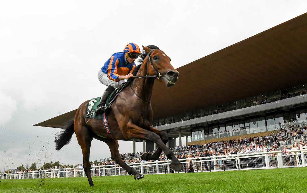 Curragh horse racing stats for Irish Champions Festival today – top jockey, trainer and more!