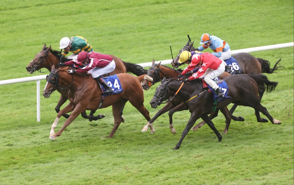 When is the Irish Cesarewitch 2024? Curragh date, start time, runners and betting