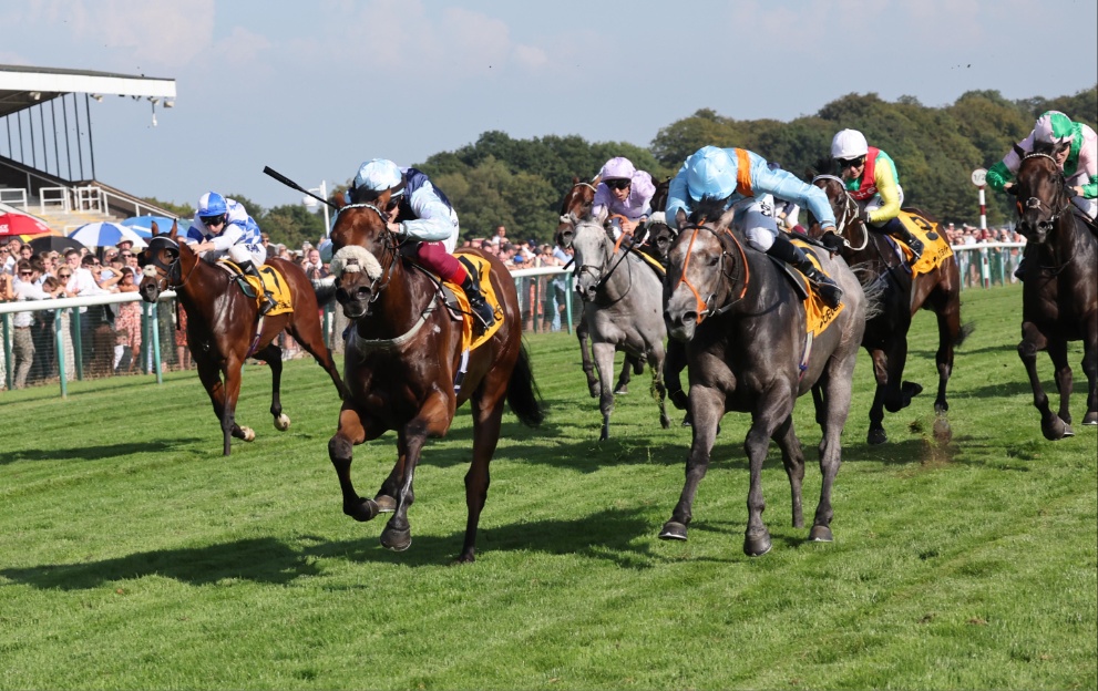 Regional wins the Sprint Cup at Haydock in 2023