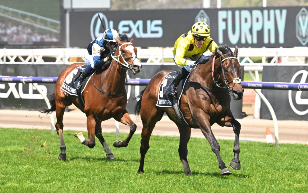 Without A Fight winning the Melbourne Cup 2023 at Flemington