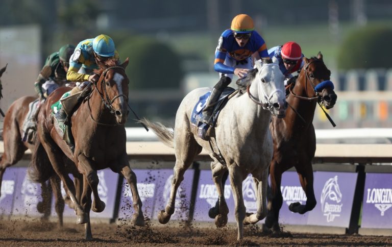 Horses racing in the Breeders