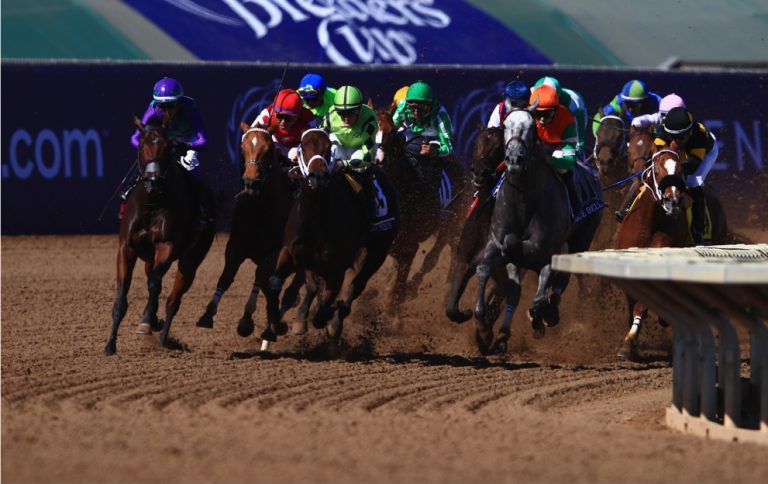 Horses racing in the Breeders