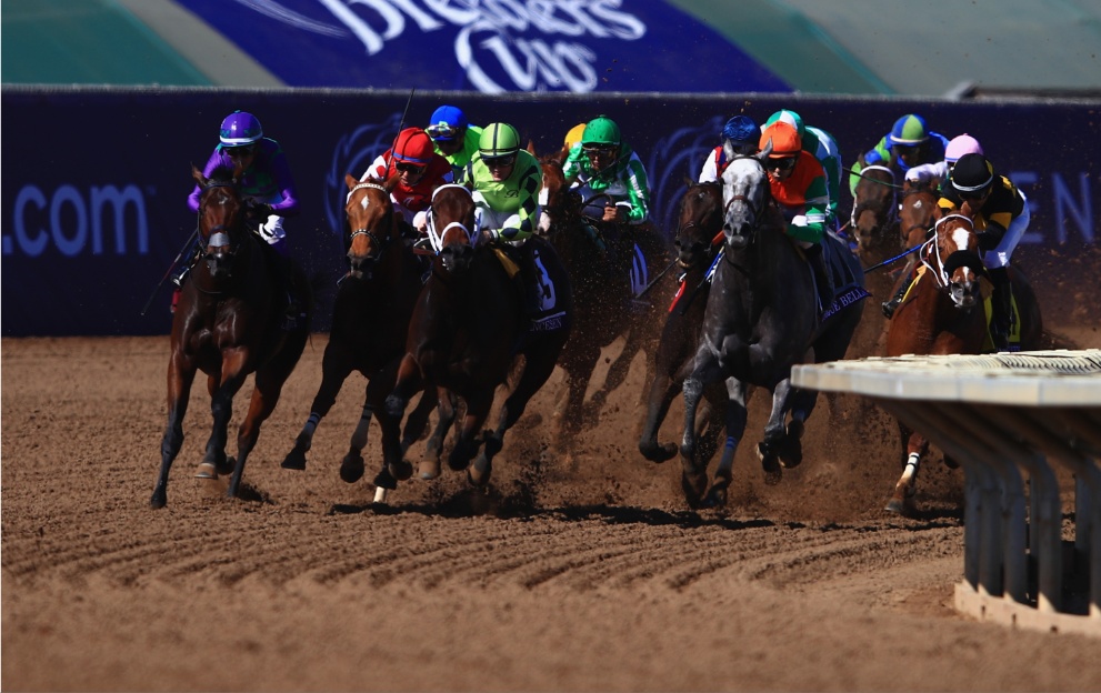 Horses racing in the Breeders' Cup at Del Mar