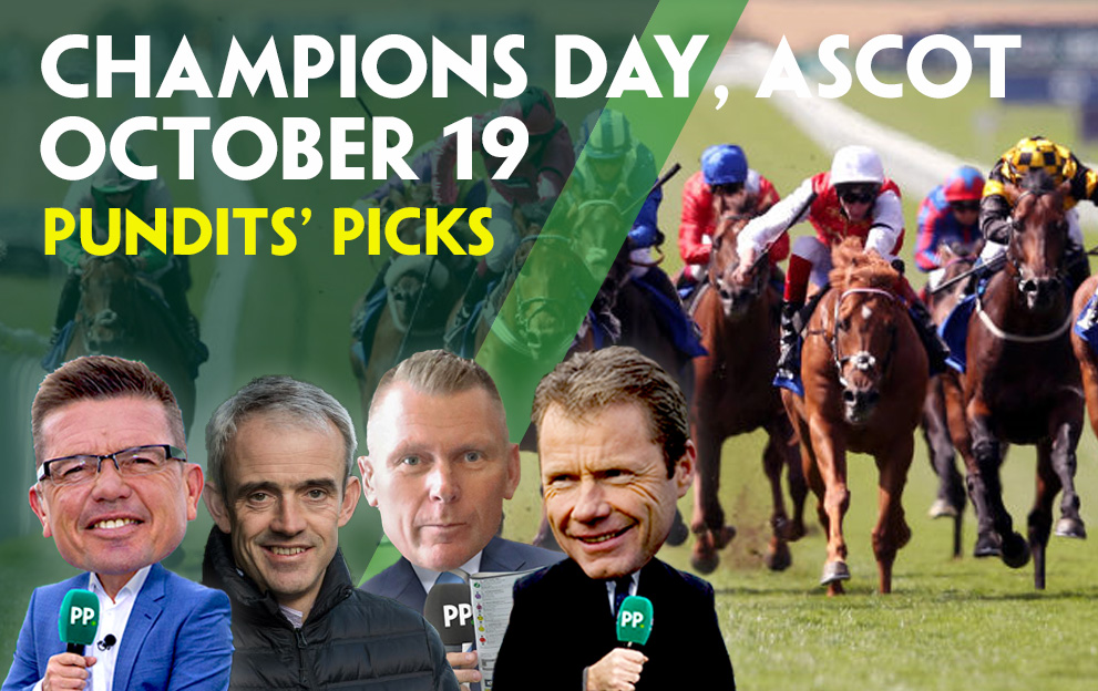 CHAMPIONS DAY 2024 Paddy Power News