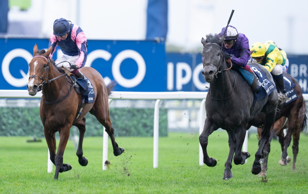 King Of Steel winning the Champion Stakes at Ascot in 2023