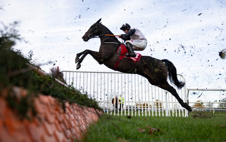 Gerri Colombe jumping a fence in the Champion Chase at Down Royal