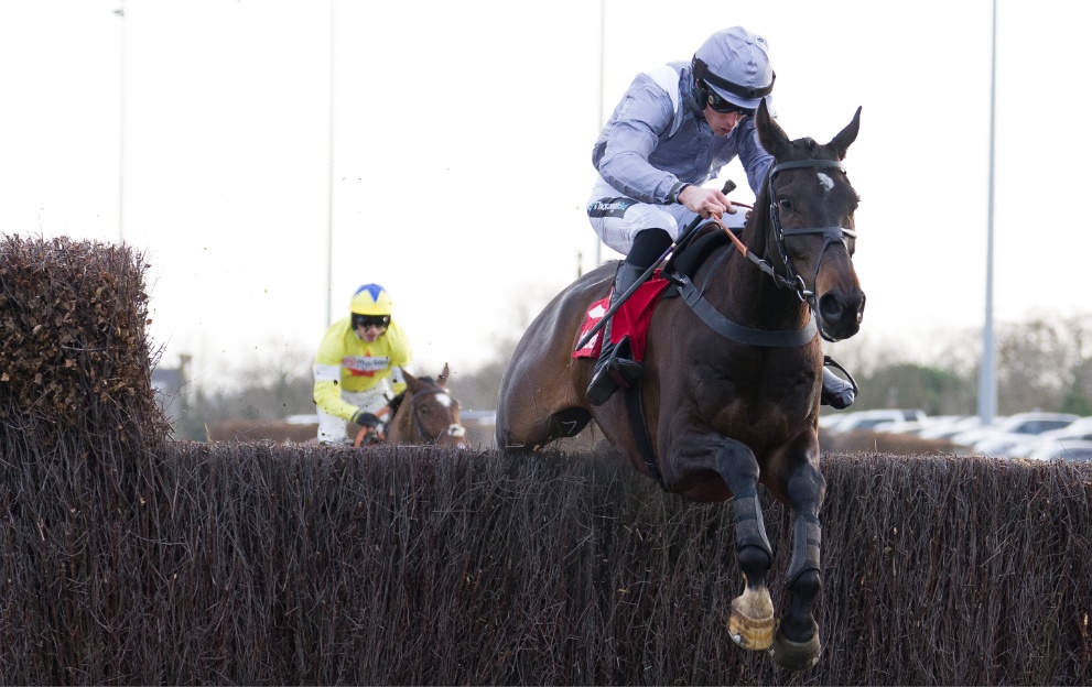 Il Est Francais jumping a fence at Kempton