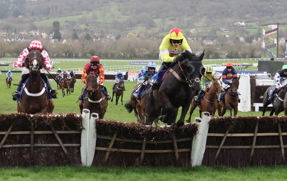 Pertemps Final qualification races and eligible horses for Cheltenham Festival 2025