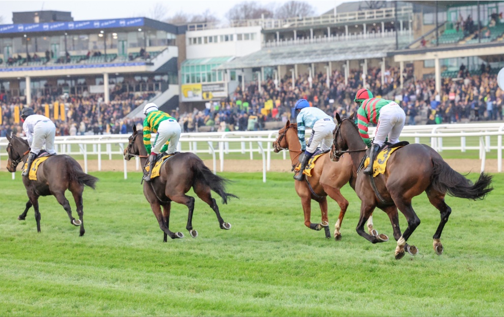 Horses running in the Fighting Fifth Hurdle at Newcastle