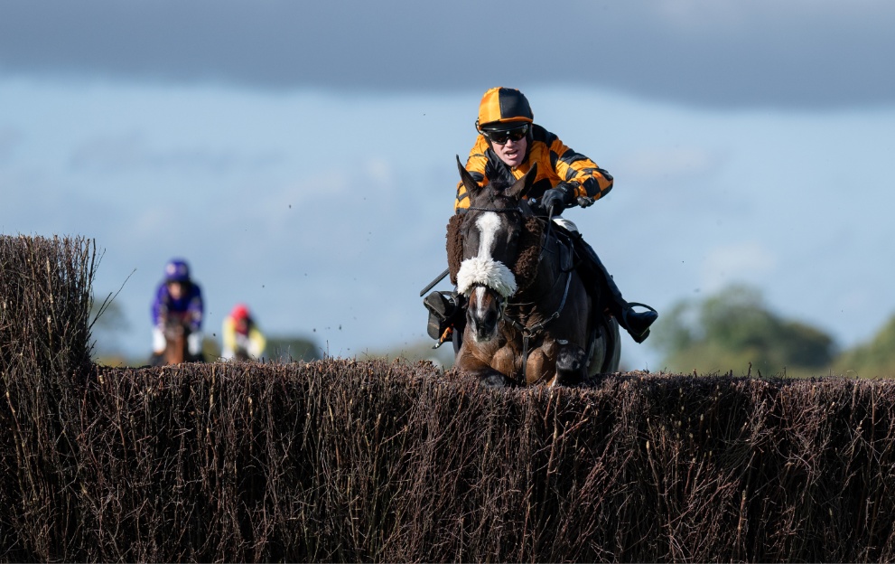 Lord Accord jumping a fence at Wincanton