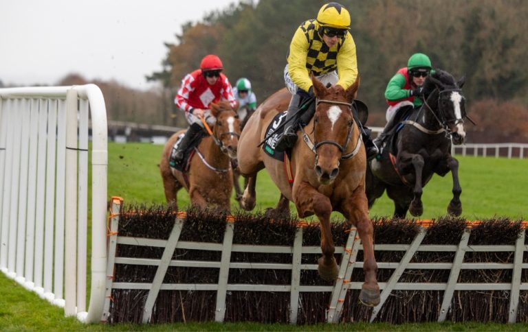 State Man jumping a hurdle at Punchestown