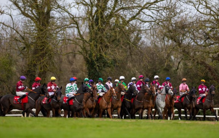 Horses at the start of the Troytown Handicap Chase