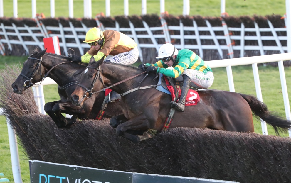 Fact To File and Galopin Des Champs jumping a fence