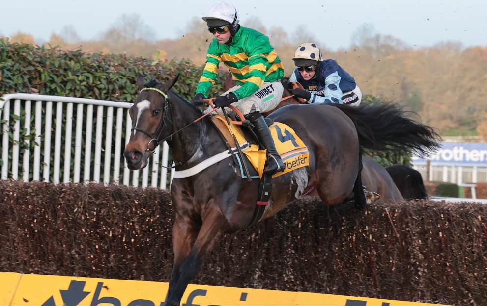 Jonbon jumping a fence in the Tingle Creek at Sandown