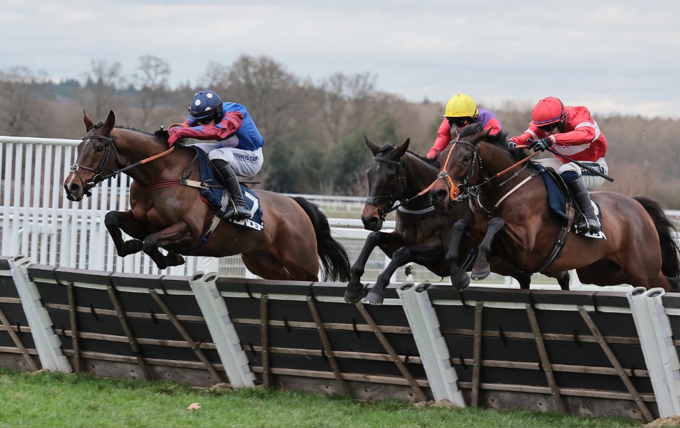 Crambo jumping a fence in the Long Walk Hurdle at Ascot