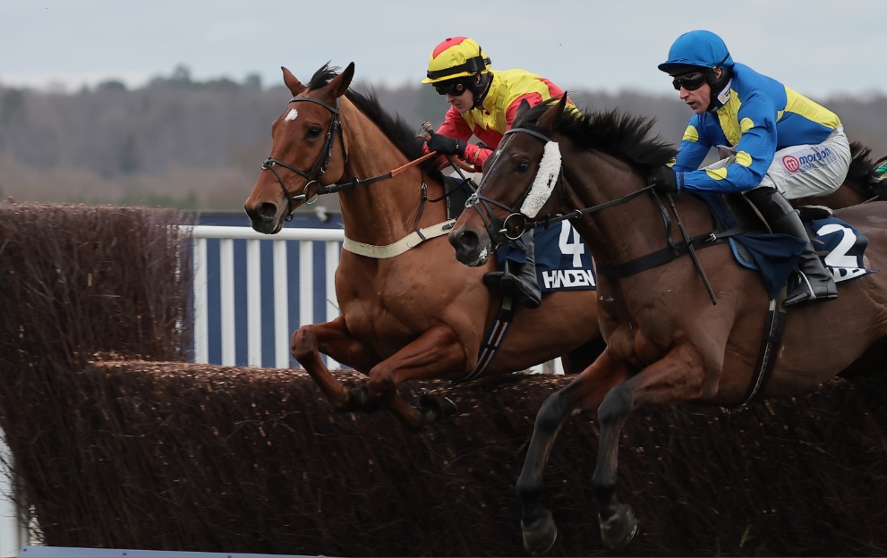 Horses jumping a fence at Ascot