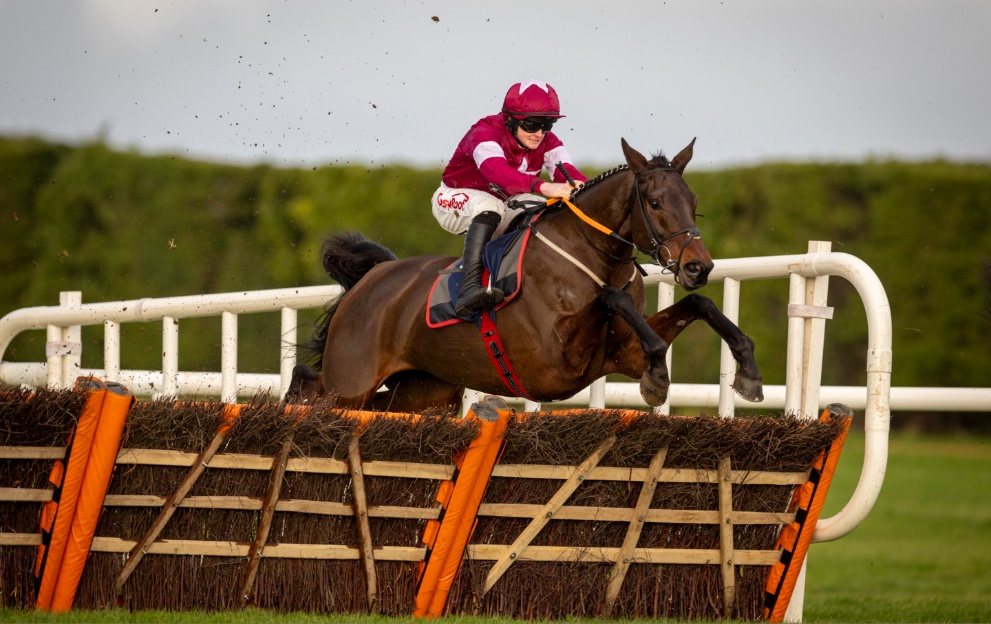 Brighterdaysahead jumping a hurdle